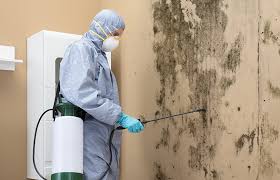 Professional Mold Prevention & Removal  in Ara, AL